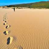 Dune di Piscinas � Pi� che il mare qui a dominare � la sabbia dorata raccolta in dune estese per oltre cinque chilometri. Il sito fa parte della riserva naturale del Monte Arcuentu e Rio Piscinas
